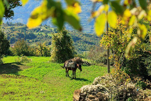 Sustainable Tourism in Albania: How to Travel Responsibly